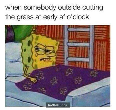 0a8b4dee5702c16878ae87bc9fa39979.jpg