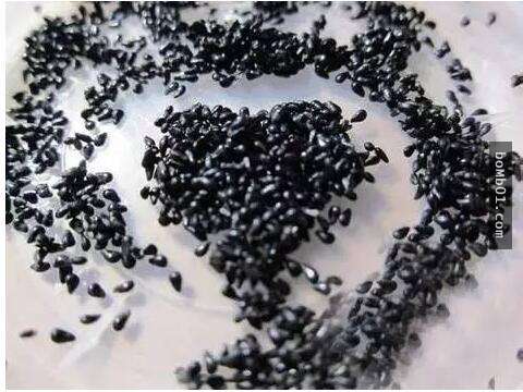 他本來只是一時好玩試著種「火龍果種子盆栽」，結果居然種出神奇到可以結果的火龍果樹！