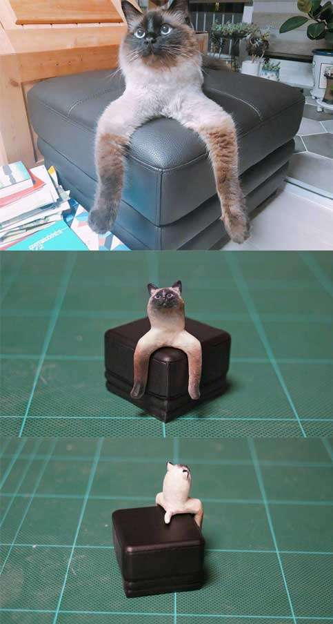 ▼坐姿古怪的猫咪.