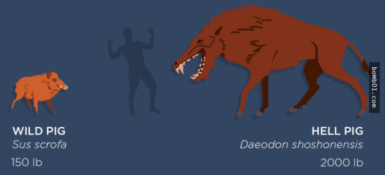23c5dfca02d67e1701eac064fec82550.png
