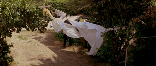 4f94dbf928053e8e742377d7fe53e1a4.gif