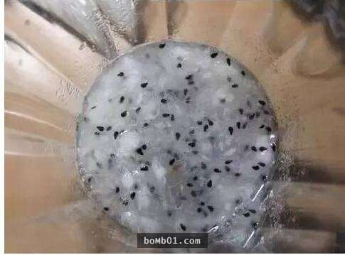 他本來只是一時好玩試著種「火龍果種子盆栽」，結果居然種出神奇到可以結果的火龍果樹！