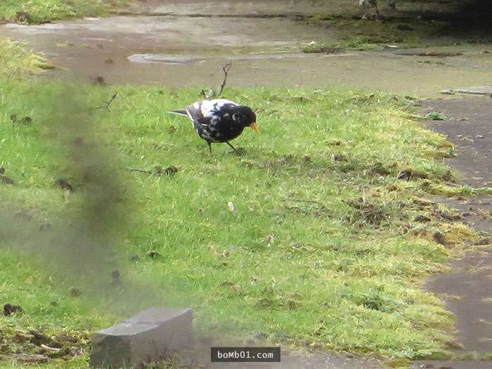 6b6f3816f2fd47933af6b06c20e086ac.jpg