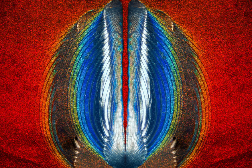 83f1201f482808880ac7c6b117ec7756.jpg