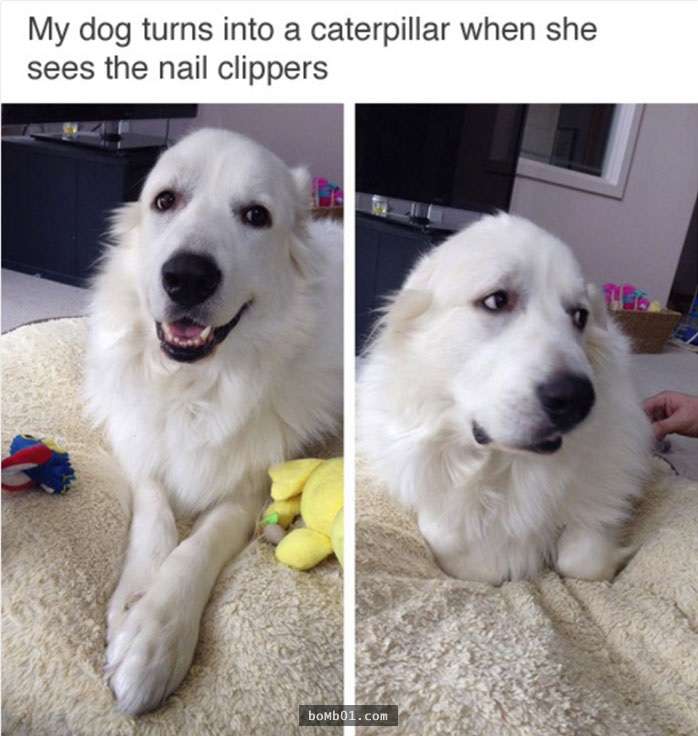 9d4523c5b8ec4f5ac2d5b4a1dfe837d6.jpg