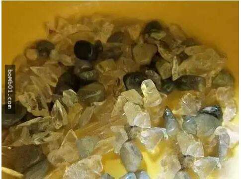 他本來只是一時好玩試著種「火龍果種子盆栽」，結果居然種出神奇到可以結果的火龍果樹！