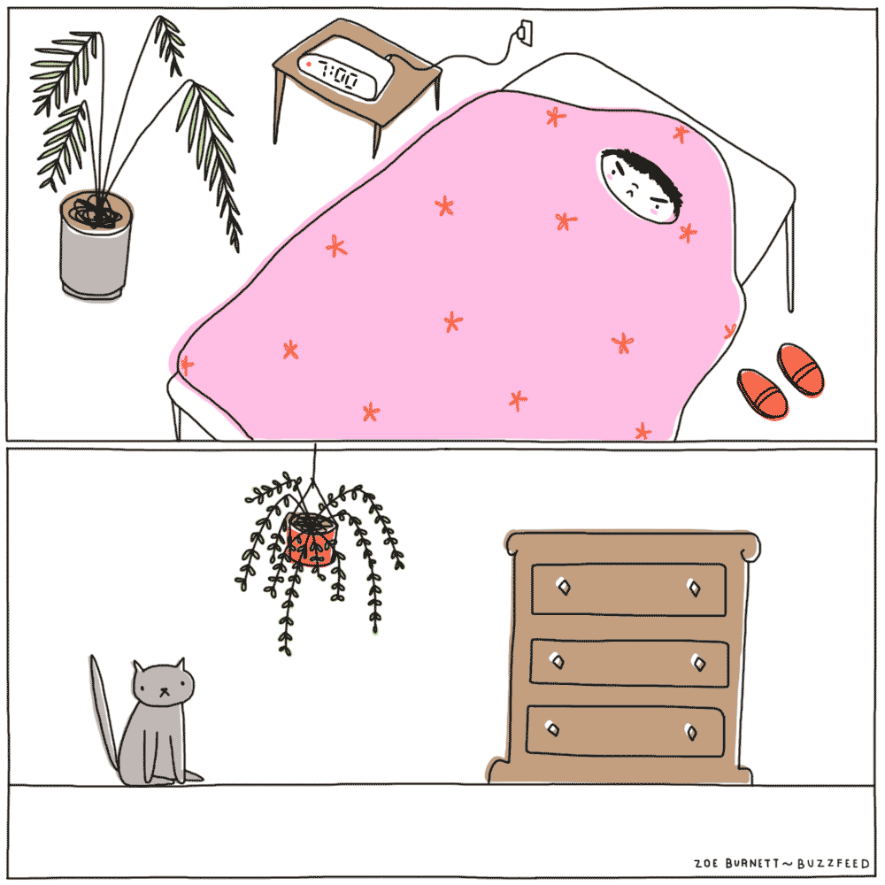 cbf91fd1a6f3f43f629c95f0f9e4d296.gif