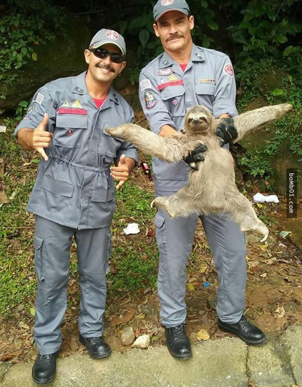 dc71819df5d4dfb8f12d5d43e7741d60.png