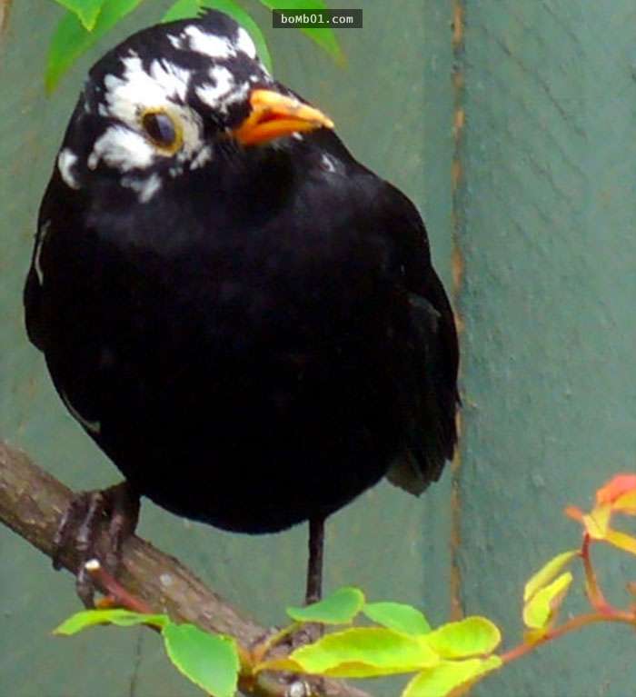 ee644c84226d9ced25440bee3eb77aaf.jpg