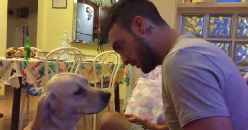 拉拉犯錯被主人罵 「撒嬌技能MAX全開」讓主人投降!% 照片 拉拉犯錯被主人罵 「撒嬌技能MAX全開」讓主人投降!