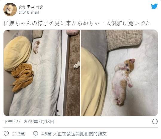 小橘喵躺床撩人睡姿 翻粉嫩肚肚還 嬌羞遮小嘴 網瘋喊 快讓我吸 Bomb01 小橘喵躺床撩人睡姿 翻粉嫩肚肚還 嬌羞遮小嘴 網瘋喊 快讓我吸 Bomb01