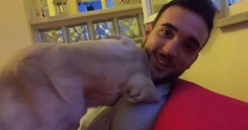 拉拉犯錯被主人罵 「撒嬌技能MAX全開」讓主人投降!% 照片 拉拉犯錯被主人罵 「撒嬌技能MAX全開」讓主人投降!