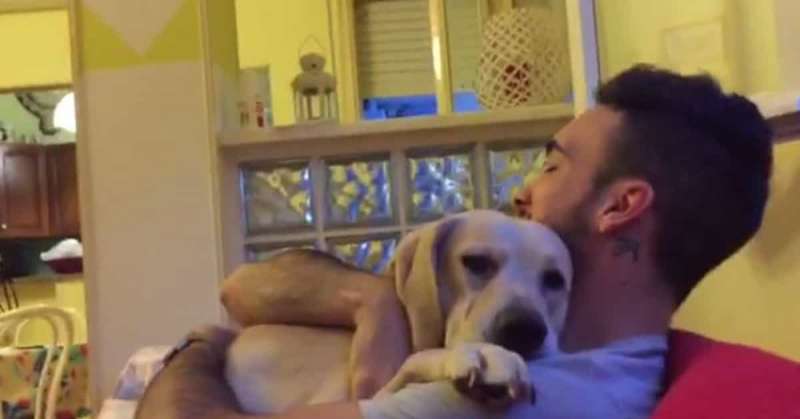 拉拉犯錯被主人罵 「撒嬌技能MAX全開」讓主人投降!% 照片 拉拉犯錯被主人罵 「撒嬌技能MAX全開」讓主人投降!